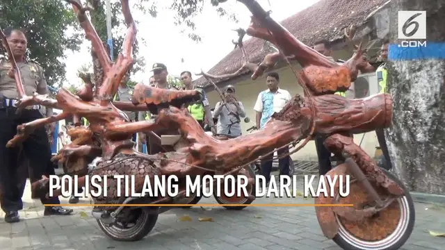 VIDEO: Motor Menyerupai Pohon Ditilang Polisi