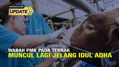 Wabah Penyakit Mulut dan Kuku hewan ternak nampaknya tidak hanya meresahkan peternak tetapi juga masyarakat secara luas yang kerap mengkonsumsi daging.