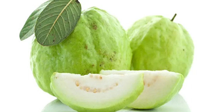 Courtesy ShutterStock.com