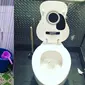 Jauh dari Kata Jorok, 6 Penampakan WC Ini Estetik Banget (sumber: Instagram/kentangpremium/tania4582)