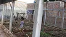 Seorang anak bermain di RPTRA Pelangi Cipedak yang pembangunannya terhenti di Jakarta, Senin (18/3). Terhentinya pembangunan RPTRA yang telah tiga kali mangkrak dikeluhkan warga karena molor dari target yang ditentukan. (Liputan6.com/Immanuel Antonius)