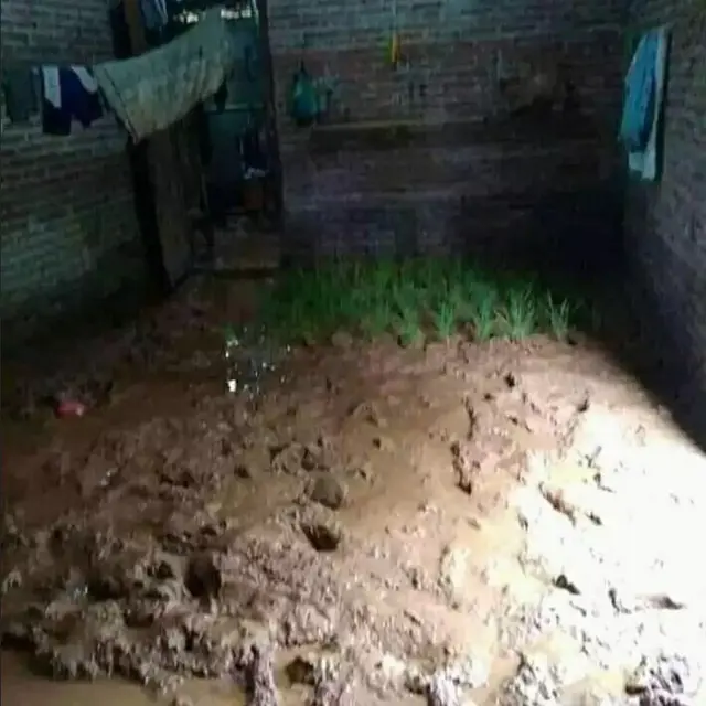 6 Penampakan Sawah Nyeleneh Ini Bikin Tepuk Jidat, Bisa Gagal Panen