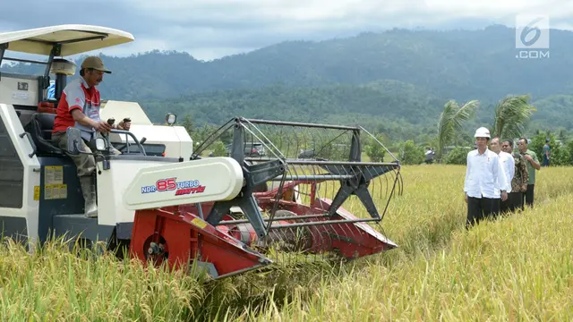 Lewat Padat Karya Tunai, Jokowi Berharap Daya Beli Masyarakat Meningkat