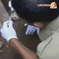 Ilustrasi petugas sedang memeriksa unggas mati diduga flu burung. (Liputan6 TV)