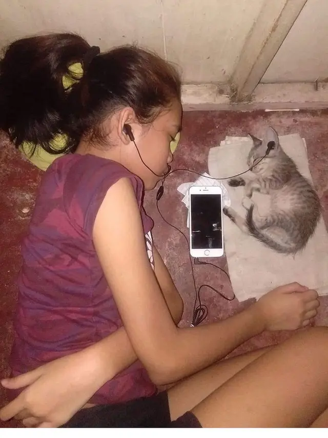 6 Potret Kompak Orang dan Kucing Saat Tidur Ini Bikin Gemas