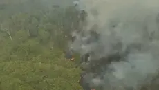 30 Hektare Api di Way Kambas Belum Padam