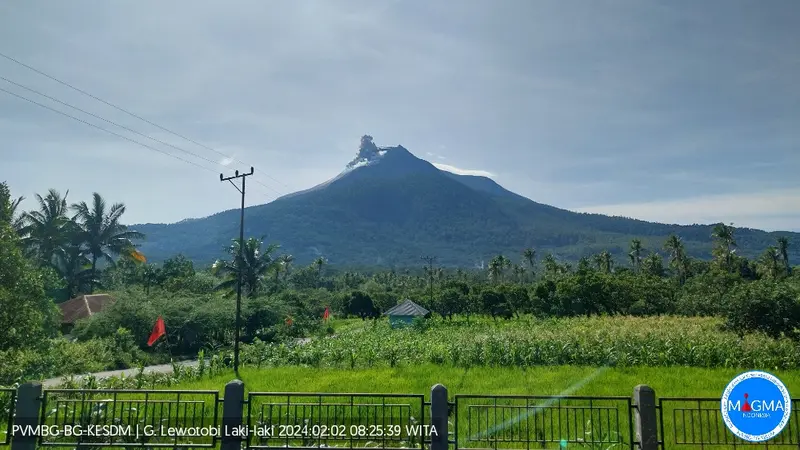 Gunung Lewotobi Laki-laki