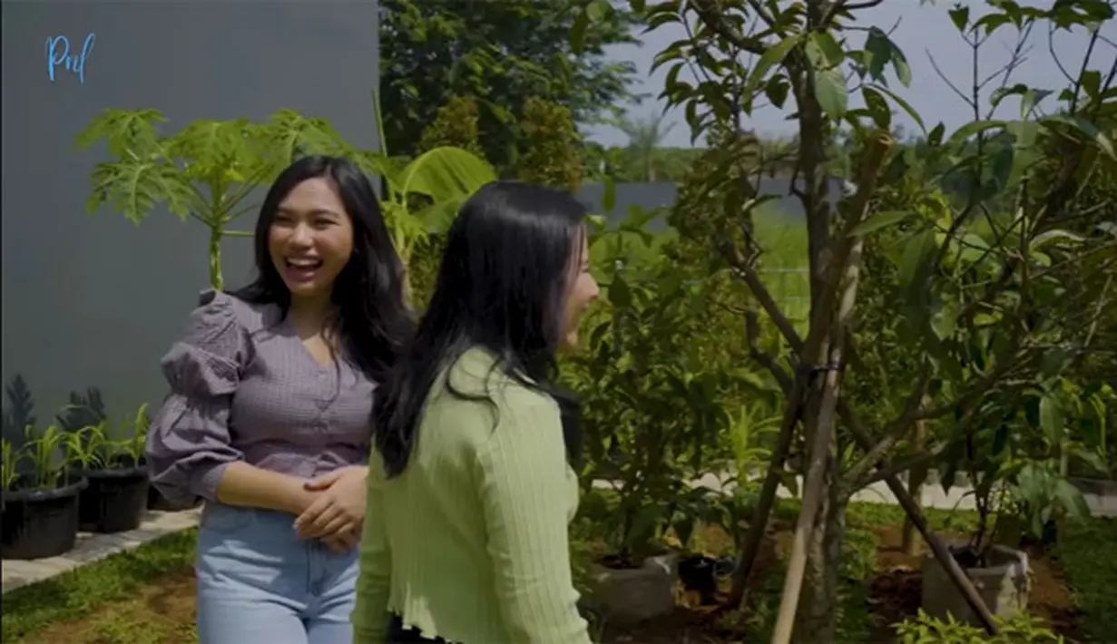 Kebun sayur Prilly Latuconsina (Youtube/ Prilly Latuconsina)