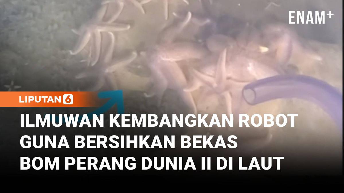 Ilmuwan Kembangkan Robot untuk Bersihkan Bekas Bom Perang Dunia II di Laut