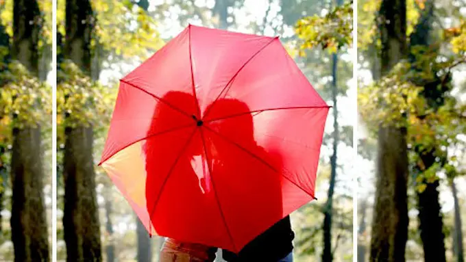 Foto: coypyright shutterstock.com