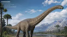 Tulang Dinosaurus Pertama dari Antartika Ditemukan di Dalam Laci