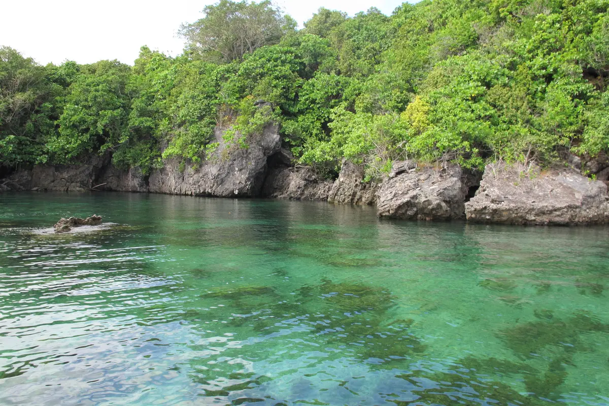 Bawean