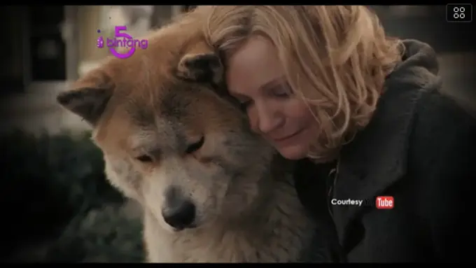 Bintang 5: Anjing Setia, Pantai Selatan, Kecelakaan Kapal Pesiar 