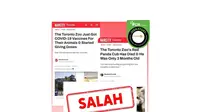 Cek Fakta: Tidak Benar Panda Merah di Kebun Binatang Toronto Mati usai Divaksin Covid-19