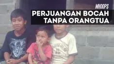Demi menghidupi kedua adiknya, Arya harus bekerja memanjat pohon kelapa dengan upah 5000 rupiah per pohon.