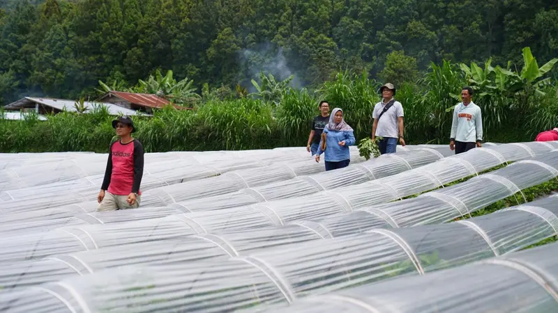 Kebun milik Yuliati dan keluarga di Bali. Dok Tanihub