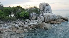 Pantai Parai Tenggiri dikelola oleh pihak swasta sehingga faktor kenyamanan dan keamanan wisatawannya sangat diperhatikan. Hal ini dapat terlihat dari lingkungan pantai yang sangat bersih dan asri. (Liputan6.com/Gempur M Surya)