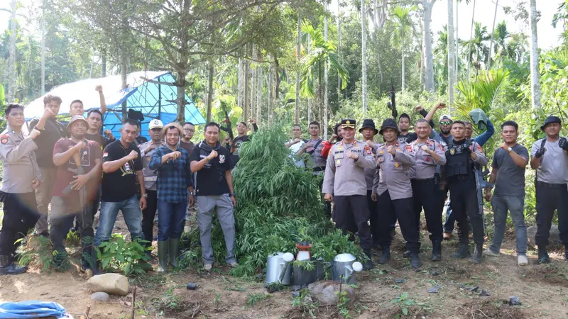 Aparat berpose usai mencabuti tanaman ganja di ladang yang tersembunyi di balik perbukitan Sawang, Aceh Utara (Ist)