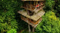 Sinergi dengan Alam, Hotel di Kosta Rika Berkonsep Rumah Pohon (Sumber. Brightsiide.me)