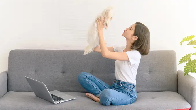 Alasan Pecinta Hewan adalah Orang Baik