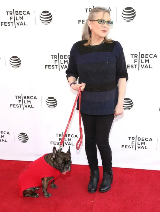 Gary yang ditinggal pergi Carrie untuk selamanya, kabarnya akan dirawat oleh anak perempuan Carrie, Billie Lourd. Meskipun sudah memiliki anjing peliharaan, namun Billie berjanji akan merawat Gary sebagai anjing kesayangan ibundanya. (AFP/Bintang.com)