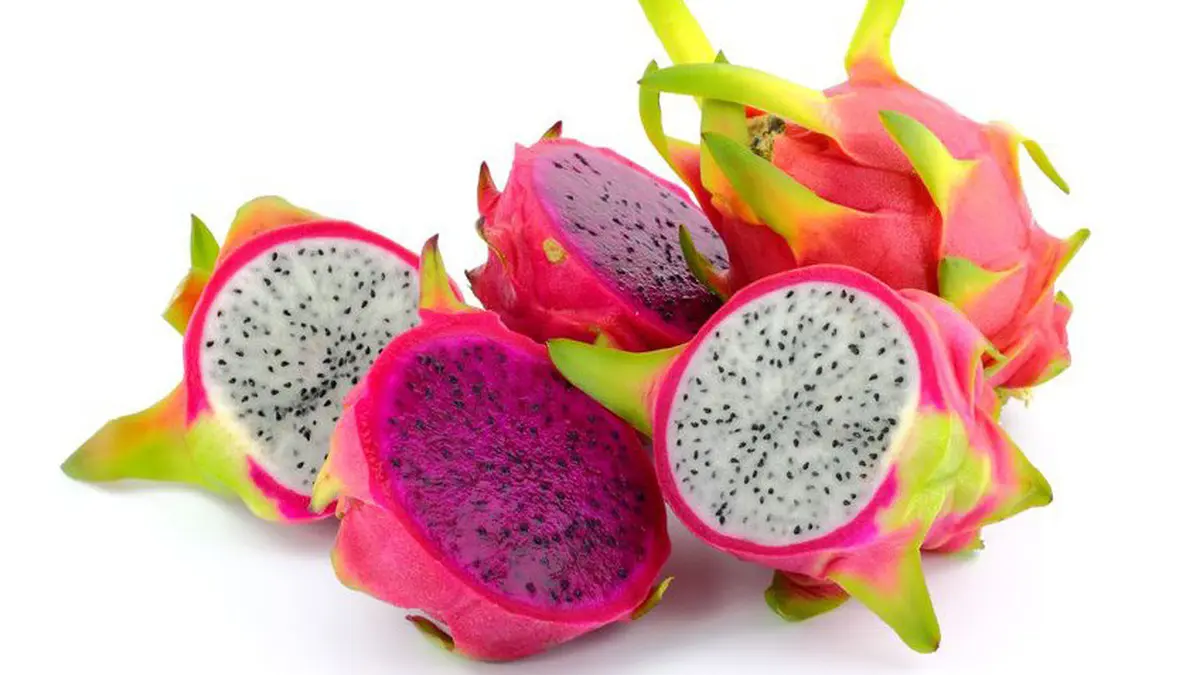 Buah Naga (Tangkapan Layar)