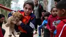 Bocah Palestina menggendong satu dari tiga anak singa berusia dua bulan yang akan dijual di kebun binatang di Jalur Gaza, 22 Desember 2017. Pemilik sekaligus pengelola kebun binatang mengiklankan tiga ekor anak singa itu di media sosial. (AP/Adel Hana)