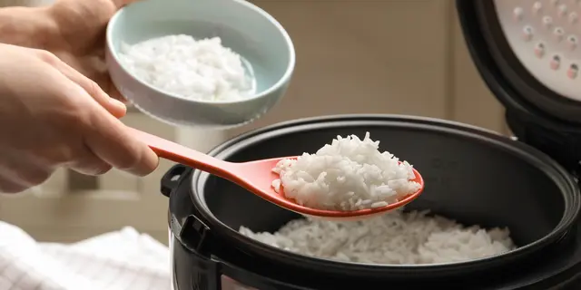 Kenapa Nasi Sering Cepat Basi Padahal Pakai Magic Jar? Ini Kesalahan yang Sering Terjadi