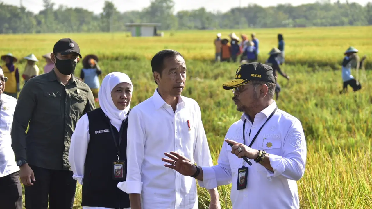 Mentan SYL Dampingi Presiden Jokowi saat Panen Raya di Ngawi