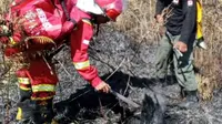 1,6 Hektare Vegetasi Rinjani Terbakar