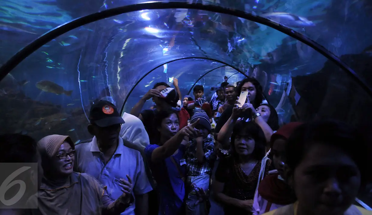 Pengunjung melihat ikan dalam air di Sea World, Ancol, Jakarta, Kamis (7/7). Wahana Sea World masih menjadi tempat favorit warga untuk mengisi waktu berlibur hari ke-2 Lebaran. (Liputan6.com/Johan Tallo)