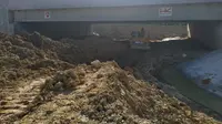 Unik, Jalan Tol Pekanbaru-Dumai Dilengkapi Perlintasan Gajah