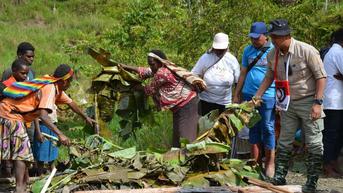 Rayakan Panen Sayuran, Warga Dogiyai Papua Bakar Batu Bareng Ops Damai Cartenz