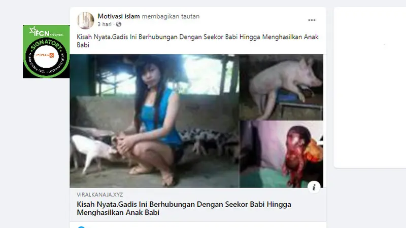 Cek Fakta Liputan6.com menelusuri kisahnyata gadis menghasilkan anak babi