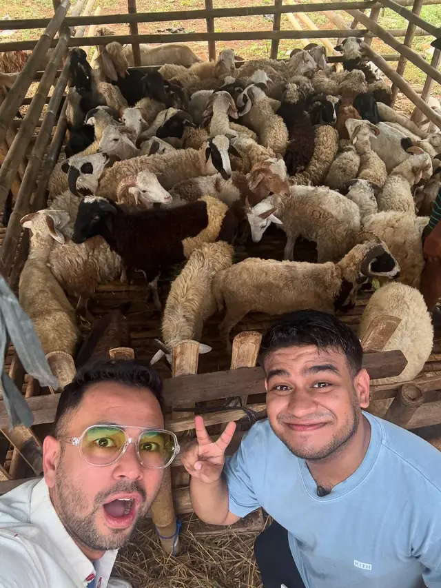 Potret Kandang Kambing Ibu Fadil Jaidi