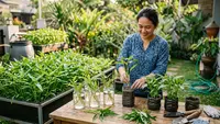 10 Cara Menanam Kangkung Tanpa Harus Membeli Benih Baru, Praktis dan Hemat
