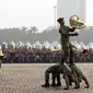 Tim Marching Band Taruna Akademi Militer beratraksi saat memeriahkan HUT RI ke-69 di kawasan Tugu Monas, Jakarta, (31/8/2014). (Liputan6.com/Helmi Fithriansyah)