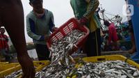 Nelayan tradisional menurunkan hasil tangkapan ikan di Pelabuhan Muara Angke, Jakarta, Sabtu (19/2/2022). Nelayan mengatakan hasil tangkapan ikan mulai membaik seiring pergantian musim dan angin barat. (merdeka.com/Imam Buhori)