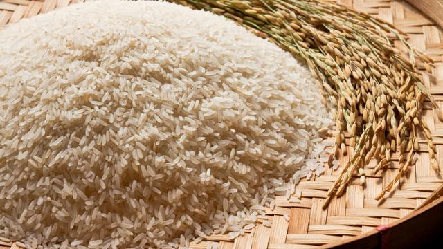 5 Cara Atasi Bau Apek pada Beras agar Tetap Nikmat Saat Dimakan - 1