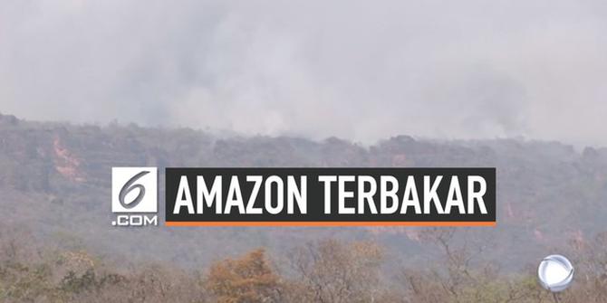 VIDEO: Kebakaran Hutan Amazon Ancam Kesehatan Warga Dunia