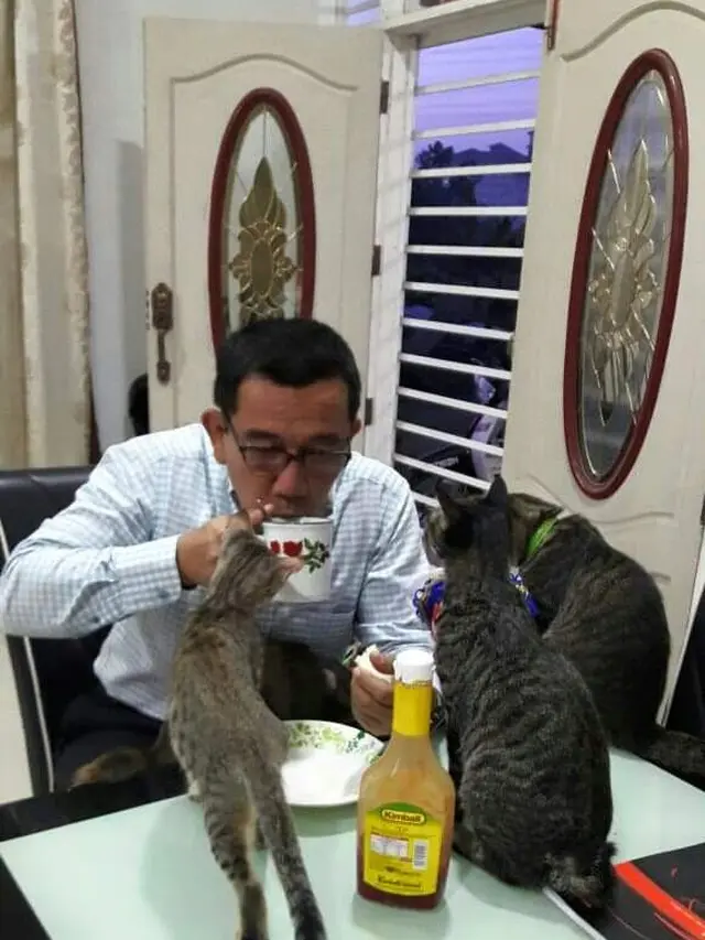 6 Tahun Bersama, Viral Video Seorang Ayah Menangis Terisak saat Kucingnya Mati