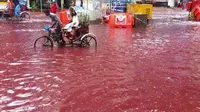 Air banjir di Bangladesh berwarna merah setelah bercampur dengan darah hewan kurban (Facebook/Dhaka Tribune)