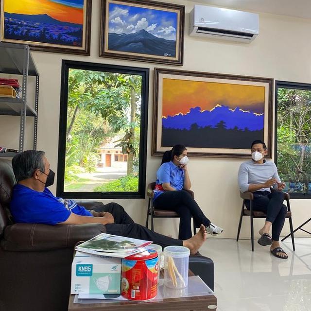 Hobi Sejak SMP, Ini 6 Lukisan Karya Susilo Bambang Yudhoyono