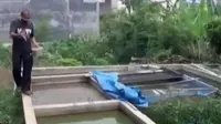 Petani Lele Terancam Gulung Tikar Akibat Kabut Asap