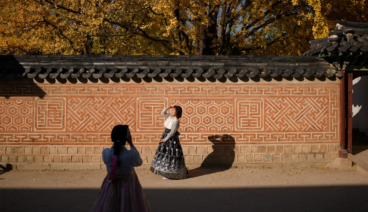 Seorang wanita mengenakan pakaian tradisional hanbok berpose saat difoto di bawah pohon ginkgo di istana Gyeongbokgung di Seoul (31/10). Pohon ini dikenali mirip dengan fosil 270 juta tahun lalu. (AFP Photo/Ed Jones)