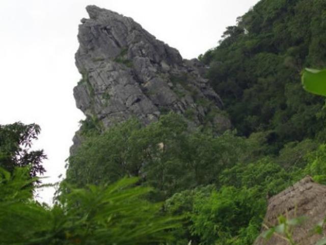 Perpaduan Pesona Alam Dan Aura Mistis Di Gunung Fatuleu Kupang