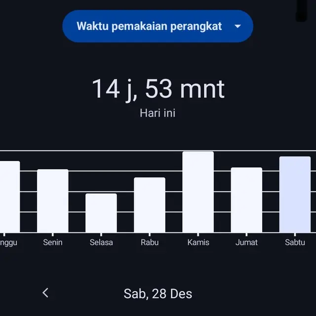 6 Tangkapan Layar Durasi Screen Time Netizen Lebih 10 Jam Ini Bikin Tepuk Jidat