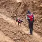 Polres Lumajang kerahkan Unit K9 cari korban tanah longsor  (Istimewa)