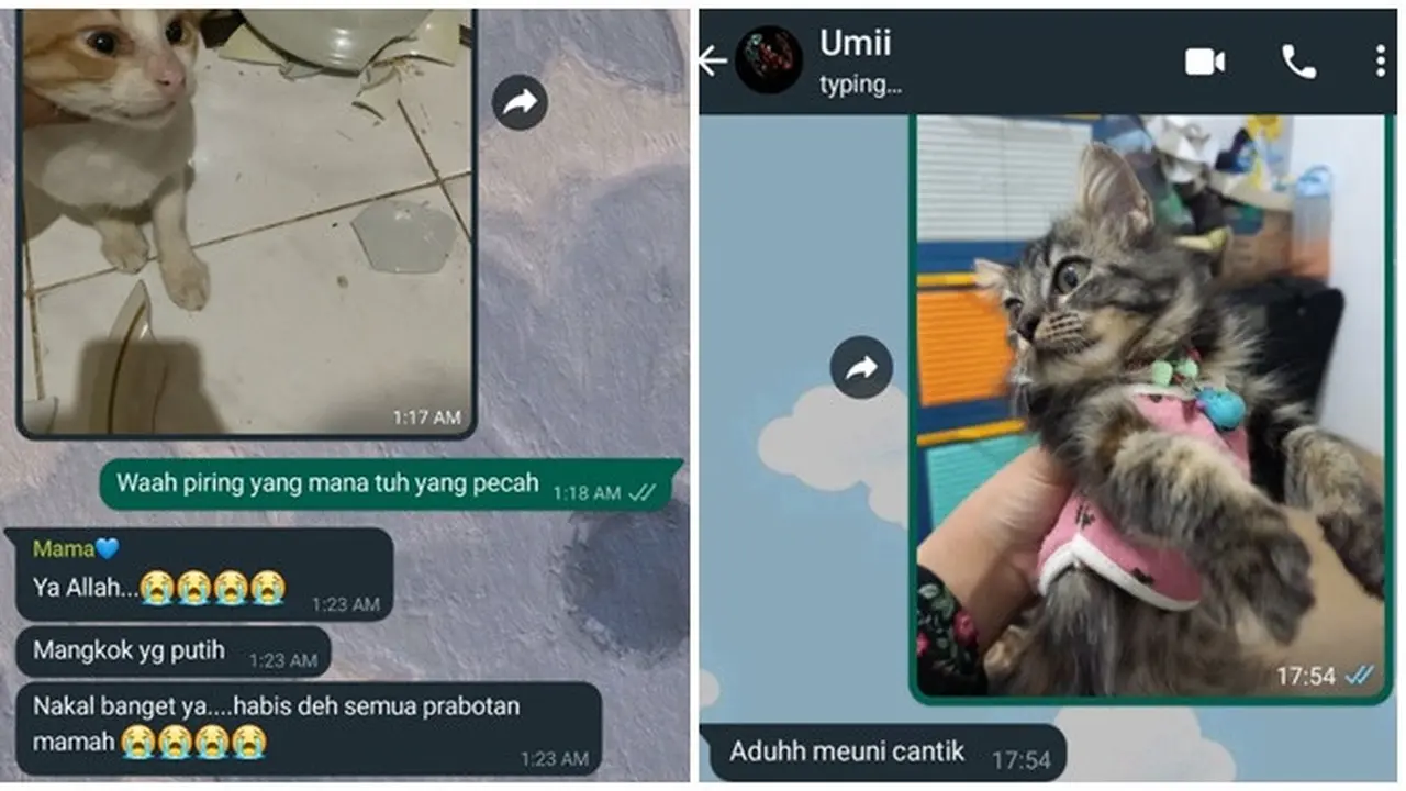 6 Chat Ibu dan Anak Bahas Kucing Ini Kocak, Anabul Jadi Anggota Kesayangan