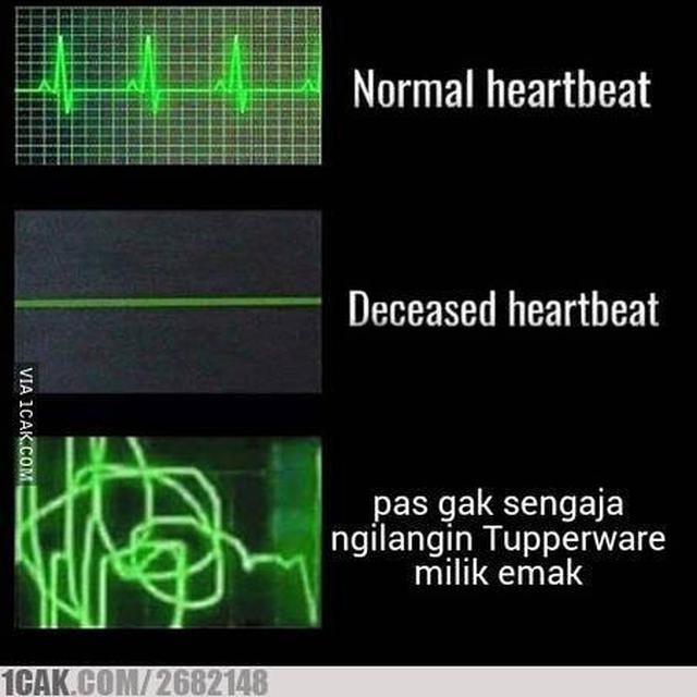 8 Meme Kocak Tupperware Lebih Berharga Ini Bikin Geleng Kepala